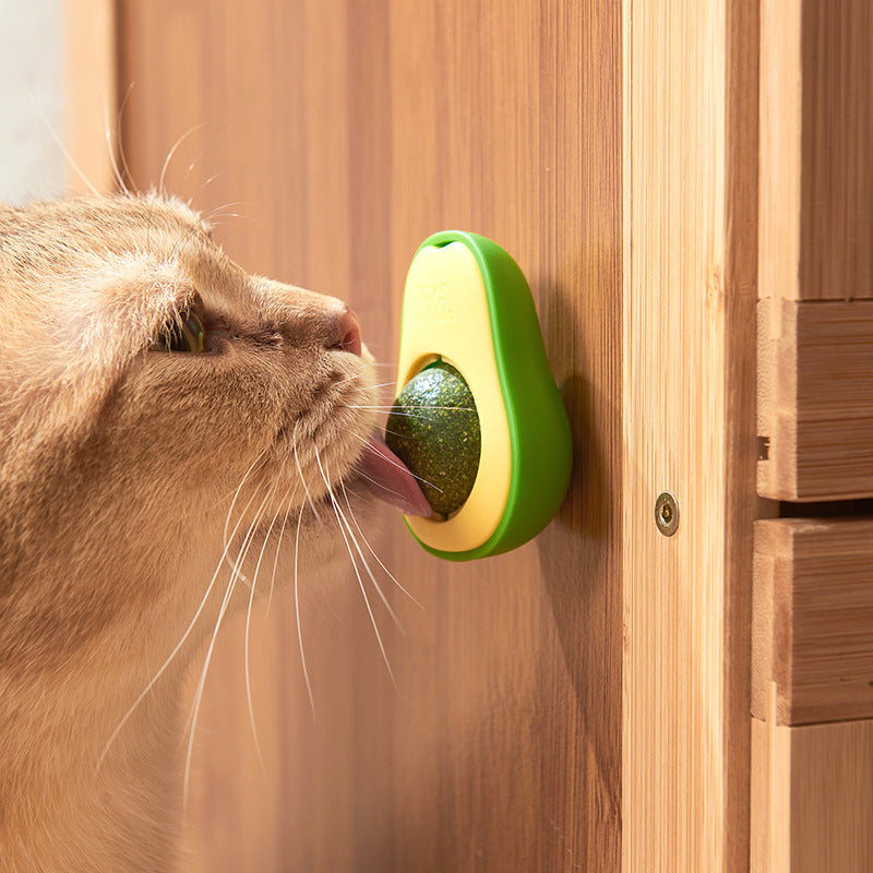 Gato lamiendo el juguete de catnip instalado en la pared