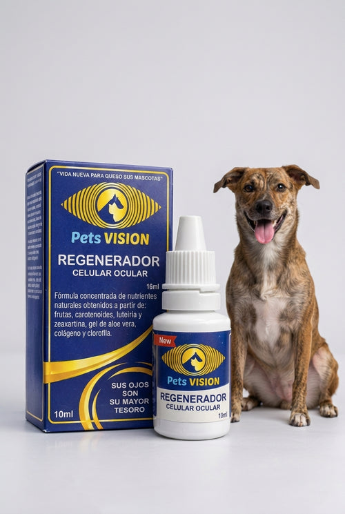 Pets Vision junto a mascota